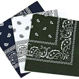 Bismaadh Paisley Print Cotton Bandana Fashion Soft Stretch Head Wrap Headband Hair Band for Men & Women ["Green","Blue","White"] Handkerchief-image-71