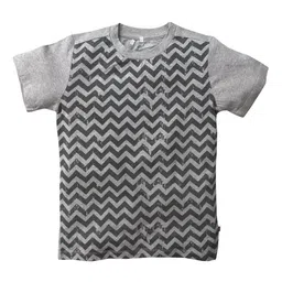 Nino Bambino Boys Grey Printed Round Neck Organic Cotton T-shirt-image-45