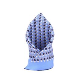 Alvaro Castagnino Men Blue Printed Silk Pocket Square-38