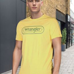 Wrangler Men Typography Printed Round Neck Cotton T-shirt-picture-22