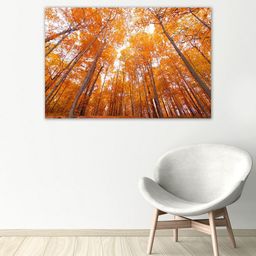 999Store  White & Yellow Forest Wall Art-image-32