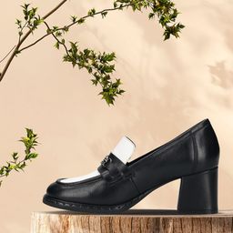BAGATT Women Leather Colourblocked Block Pumps-image-32