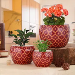 Homspurts Pink & Yellow 3 Pieces Printed Metal Planters-44