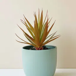 Garden Deco Green Aloevera Artificial Plant-image-70