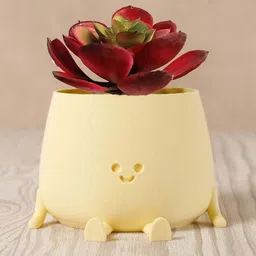 Garden Deco Red Non Hanging Succulent Artificial Plant-2