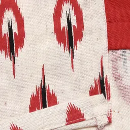 Tutus By Tutu Boys White & Red Ikat Print Kurta with Pyjamas image 4