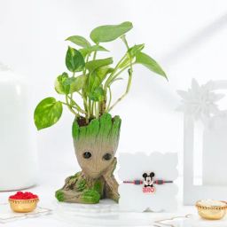Groot Love Rakhi Gift Combo-image-9