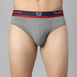 Van Heusen Men Solid Jaspe Textured No Marks Briefs 70009-picture-53
