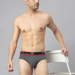 van heusen innerwear Van Heusen Men Solid Jaspe Textured No Marks Briefs 70009 image 4