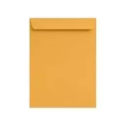 Saraswati 8x10 Inch Yellow Inside Laminated Envelop (Pack of 50)-image-21