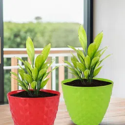 Kuber Industries Red & Green 2 Pieces Diamond Pattern Durable Planters-46