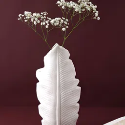 Myntra Elegant Homes White Medium Ceramic Feather Vase-image-11