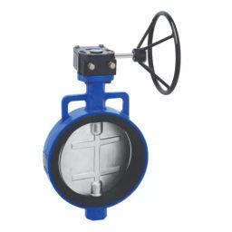 PMW 250 mm Cast Iron Butterfly Valve S.G Iron Disc Gear Operated-image-66