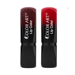 Color Art Set Of 2 Long-Lasting Lipstick - 4 g Each - Dark Maroon & Royal Red-image-76
