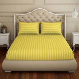 Spaces Gold Cotton 210 TC Queen Fitted Bedsheet With Pillow Covers-image-80