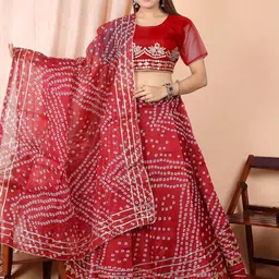 Vvlpf Embroidered Ready to Wear Lehenga With Unstitched Blouse And Dupatta-picture-36