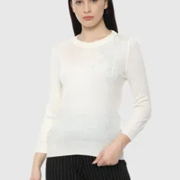 Van Heusen Beige Embellished Print Sweater-41