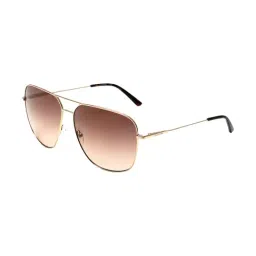 Calvin Klein Brown Aviator Sunglasses for Men-image-37