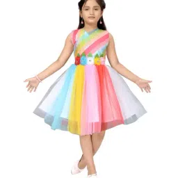 Aarika Kids Multicolor Embellished Dress-image-52