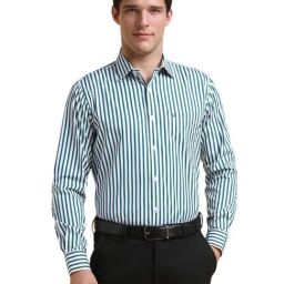 Allen Solly White & Green Cotton Slim Fit Striped Shirt-image-101