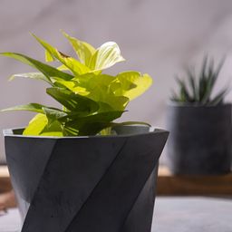 Greyt Grey Textured Octo Square Shaped Planters-12
