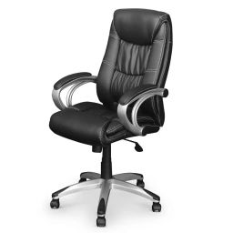 Vassio Modern Boss Revolving Black Executive Chair For Office-20