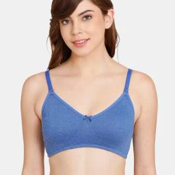 Rosaline by Zivame Blue Non-wired Non-padded T-Shirt Bra-image-22