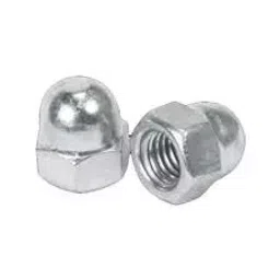 Agarwal Fastners M16 SS316 Stainless Steel Dome Nut-38