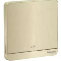 Schneider AvatarOn 1 Gangs 2 Pole 32A Switch With Led Metal Gold Hairline E8331D32N_GH_G8-38