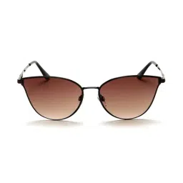 Bebe BB3065 Brown Gradient Cat Eye Sunglasses-picture-18