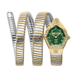 Just Cavalli JC1L304M0065 Mesmerizing Analog Watch for Women-image-56