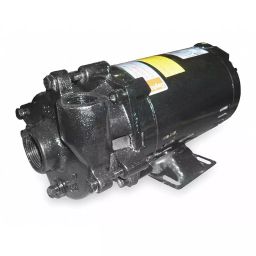 Dayton 1-1/2 HP Three Phase Centrifugal Pump, 2ZWP8-image-65
