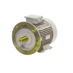 Siemens Three Phase 335 HP 6 Pole Foot cum Flange Mounted Induction Motor 1SE0 358-6NB80-image-50