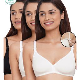 Inner Sense Pack Of 3 Organic Cotton Antimicrobial Solid Nursing Bra - Multi Colour-image-35