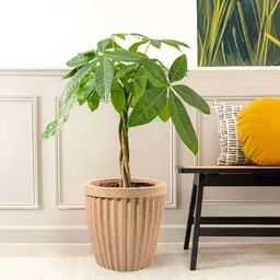 RUBOXA Brown Textured UV-ProtectedPlanters-0