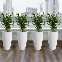 14 Inch Tower Pots for Indoor & Outdoor Plants-23