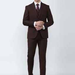 Peter England Elite MaroonSlim Fit Textured Three Piece Suit-image-11