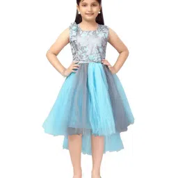 Aarika Kids Blue Floral Print Dress-image-22