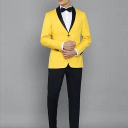 Allen Solly Yellow Slim Fit Two Piece Suit-image-95