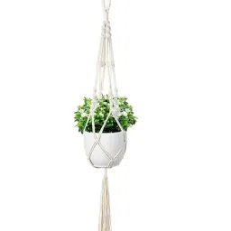 MODERN HOMES White Handmade Macrame Cotton Plant Hanger - Set of 1-image-10