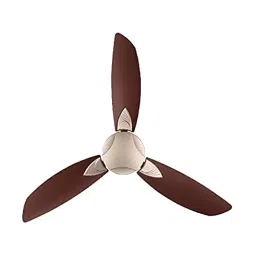Usha Primrose ‎Sparkle Golden And Brown 1250 mm Ceiling Fan-image-34