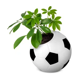 GARDEN'S NEED Black & White Football Textured Planter-57