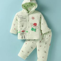 Child World Quilted Cotton Full Sleeves Hooded Winter Wear Suit With Teddy Bears Print - Green-picture-9