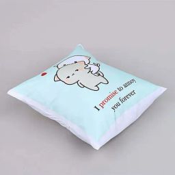 FNP Promise To Annoy You Valentine Cushion image 3