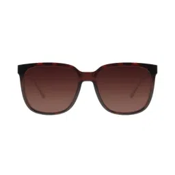 Chilli Beans OCCL33675706 Brown Square Sunglasses-picture-12