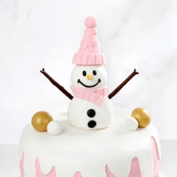 Frosty Bliss Fondant Cake (1Kg)-image-44