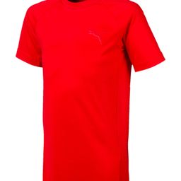 PUMA Half Sleeves Evostripe Tee - Red-image-80