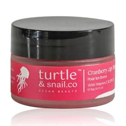 Turtle & Snail.Co Cranberry Lip Tint & Balm with Vitamin C & SPF 30 - 20 gm image 1