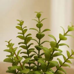 Pure Home and Living Green Plastic Potted Plants-picture-24