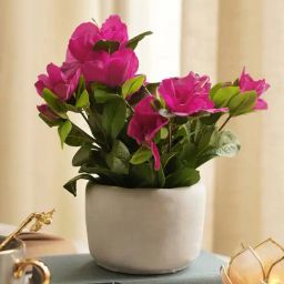 Pure Home and Living Pink Plastic Potted Plants-picture-30